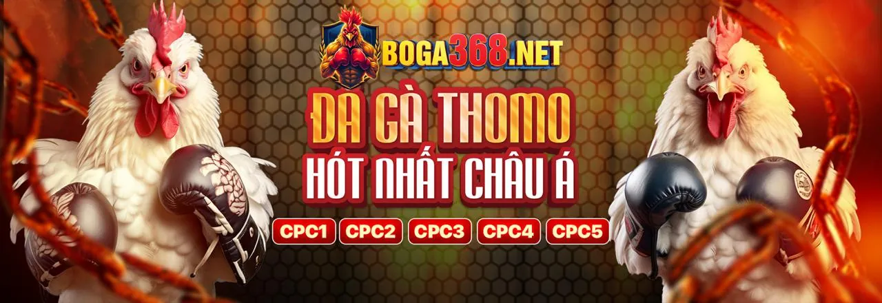 Tính năng nổi bật của nền tảng sx666 game